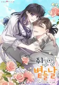 The Sunny Day in the Rat Hole