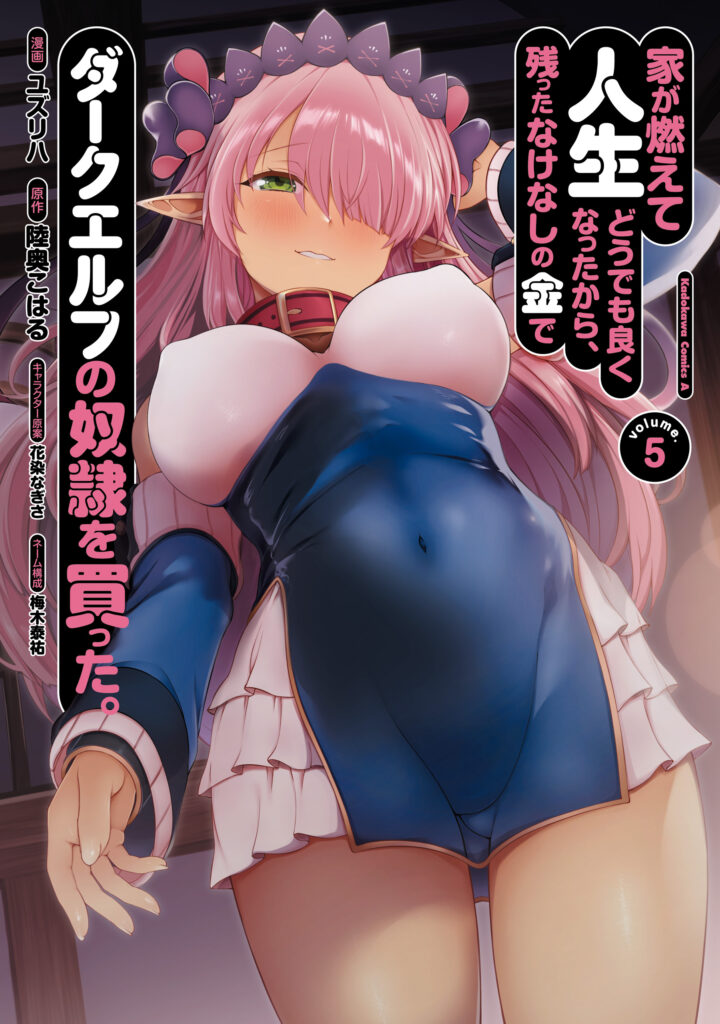 Since I Didn’t have Anything Left to Lose in Life after my House Burned Down, I Bought a Dark Elf Slave with the Remains of my Meager Savings