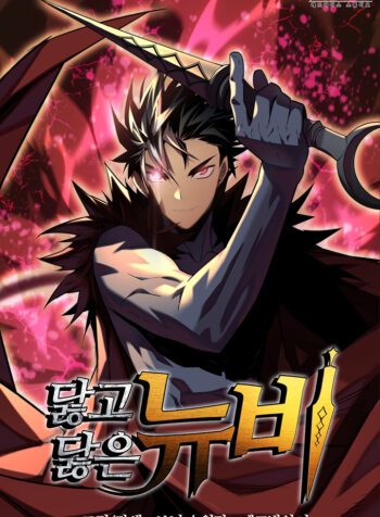 The Worn and Torn Newbie