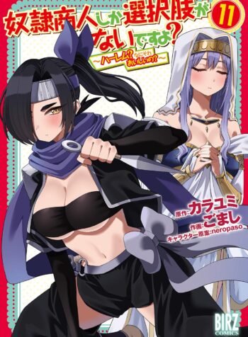 Is the Only Option a Slave Merchant?: Harem? What is that, is It Tasty?