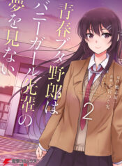 Rascal Does Not Dream of Bunny Girl Senpai