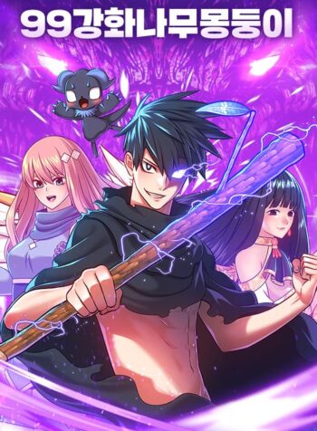 +99 Reinforced Wooden Stick