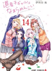 Dosanko Gal wa Namara Menkoi