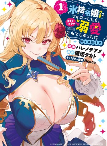 Hyouketsu Reijou-sama wo Follow Shitara, Mechamecha Dekiai Sareteshimatta Ken