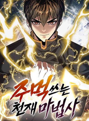 The Fistfighting Genius Mage